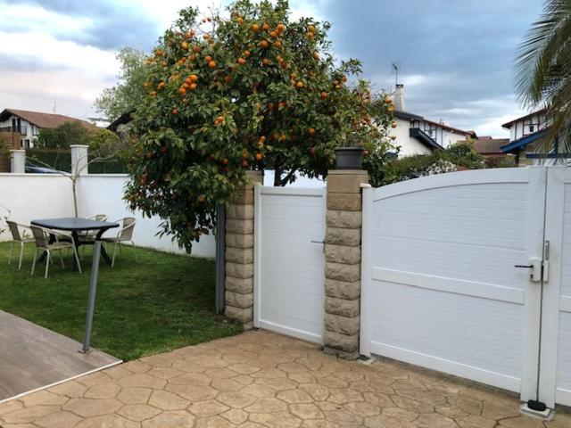 אונדאיי Les Hirondelles 2Km De La Plage-Jardin-Wifi-Parking-Draps Et Serviettes מראה חיצוני תמונה
